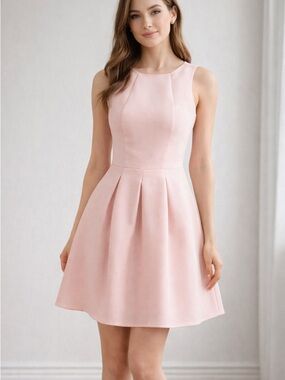 Sleeveless Blush Pink Fit-and-Flare Dress